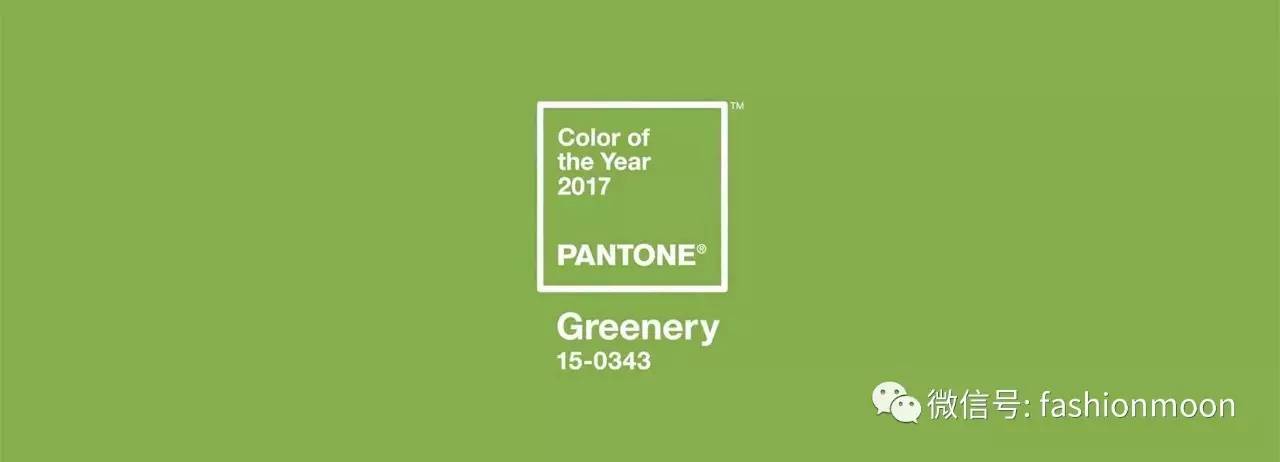 pantone2019年流行色都有什么,pantone2023流行色英文视频