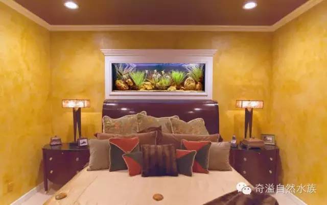 鱼缸摆放位置与属相,鱼缸的摆放位置以及风水影响