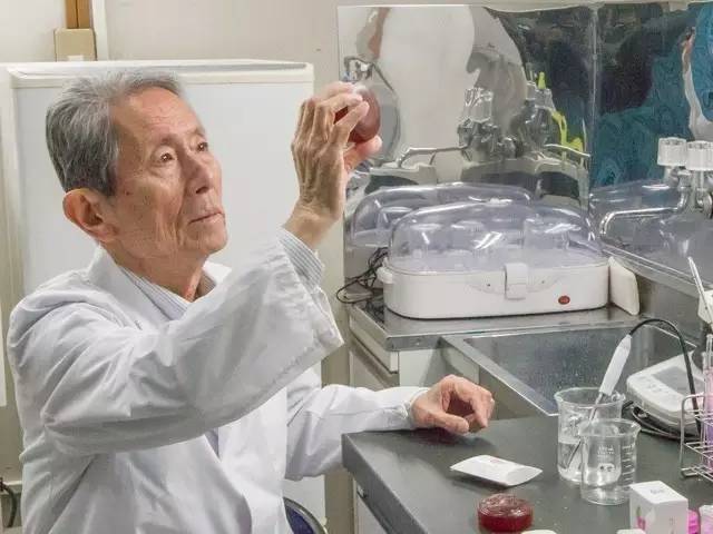 日本奶香味的手工皂 (日本小众手工皂)