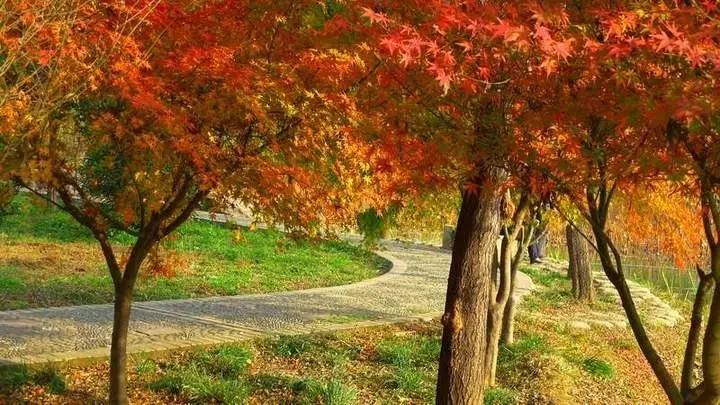 洛阳的娱乐场所,洛阳有什么不花钱的娱乐项目