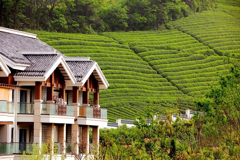 暖心美宿+养生温泉，寒冬和这家高逼格酒店简直绝配！「浙里温暖NO.2」