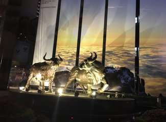 四天三晚香港自由行,四天三晚香港游多钱