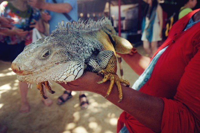 巴厘岛6天5晚跟团游昆明出发,巴厘岛6天5晚跟团游沈阳出发