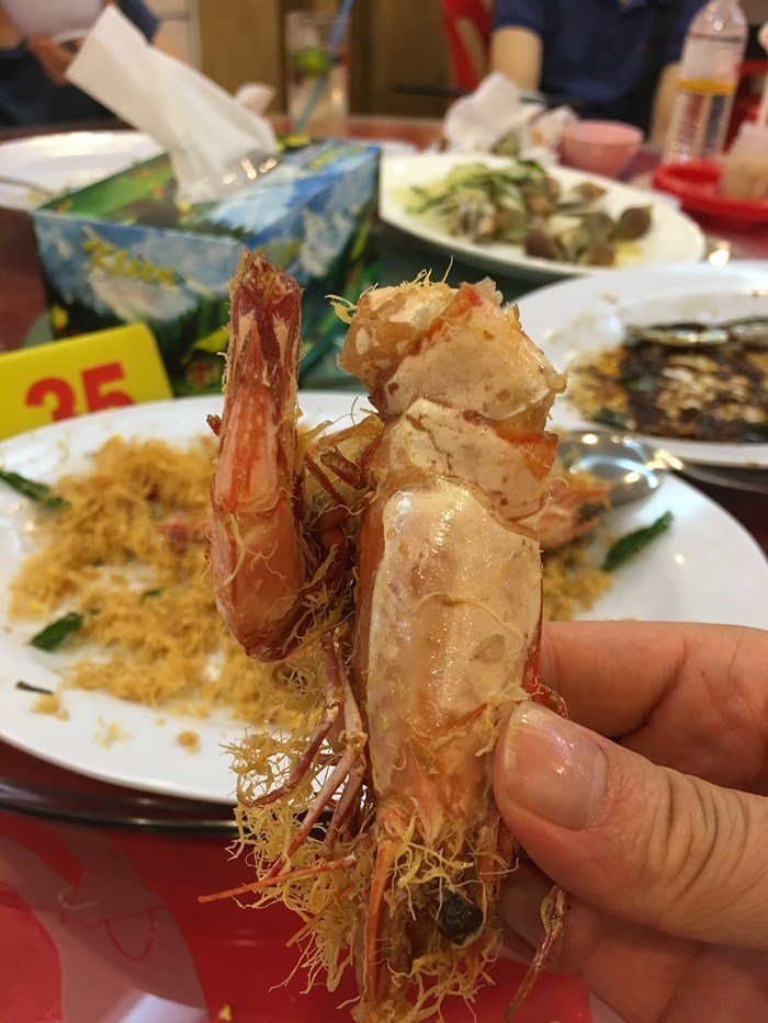 暑假新加坡马来西亚自由行,寒假带孩子去新加坡游玩攻略