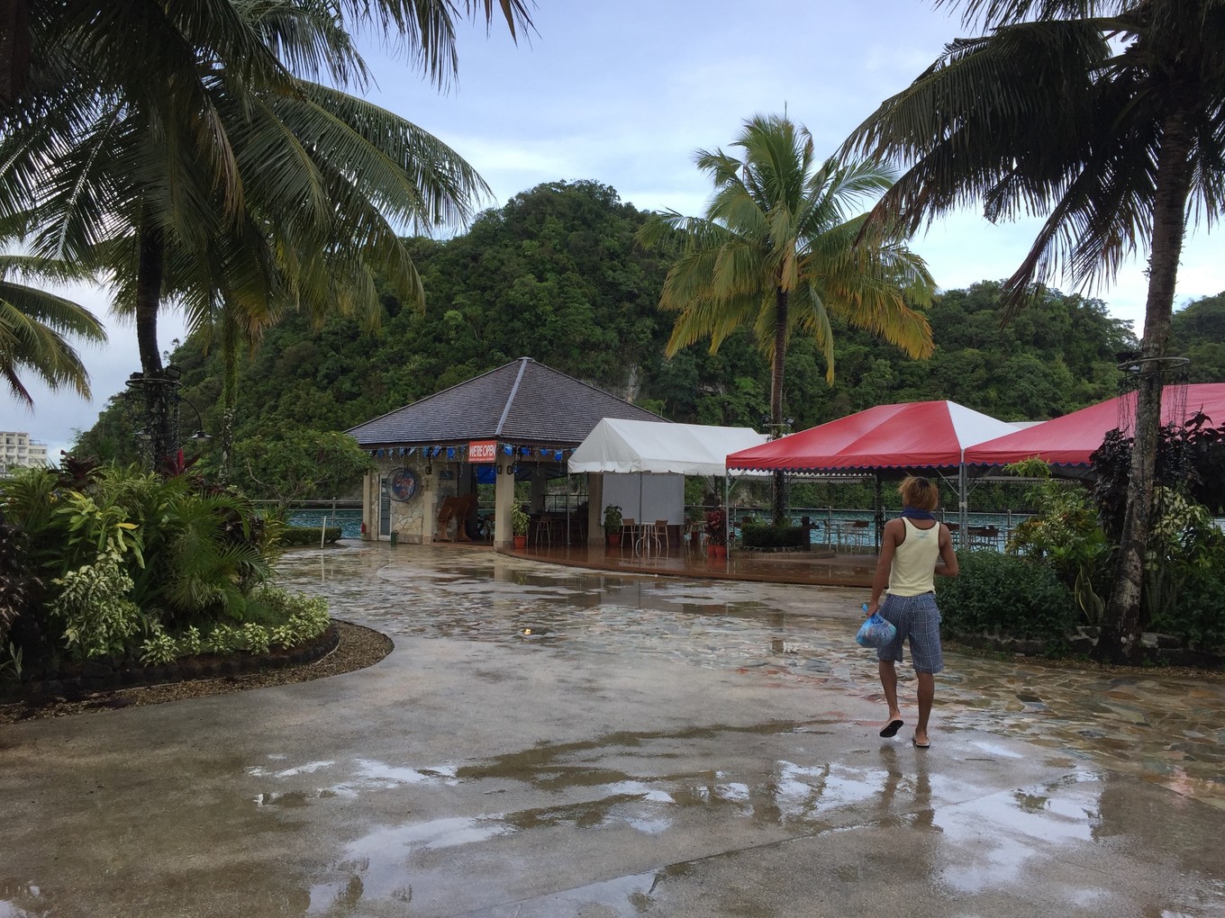 帕劳旅行攻略大全图文,帕劳旅行攻略图文大全