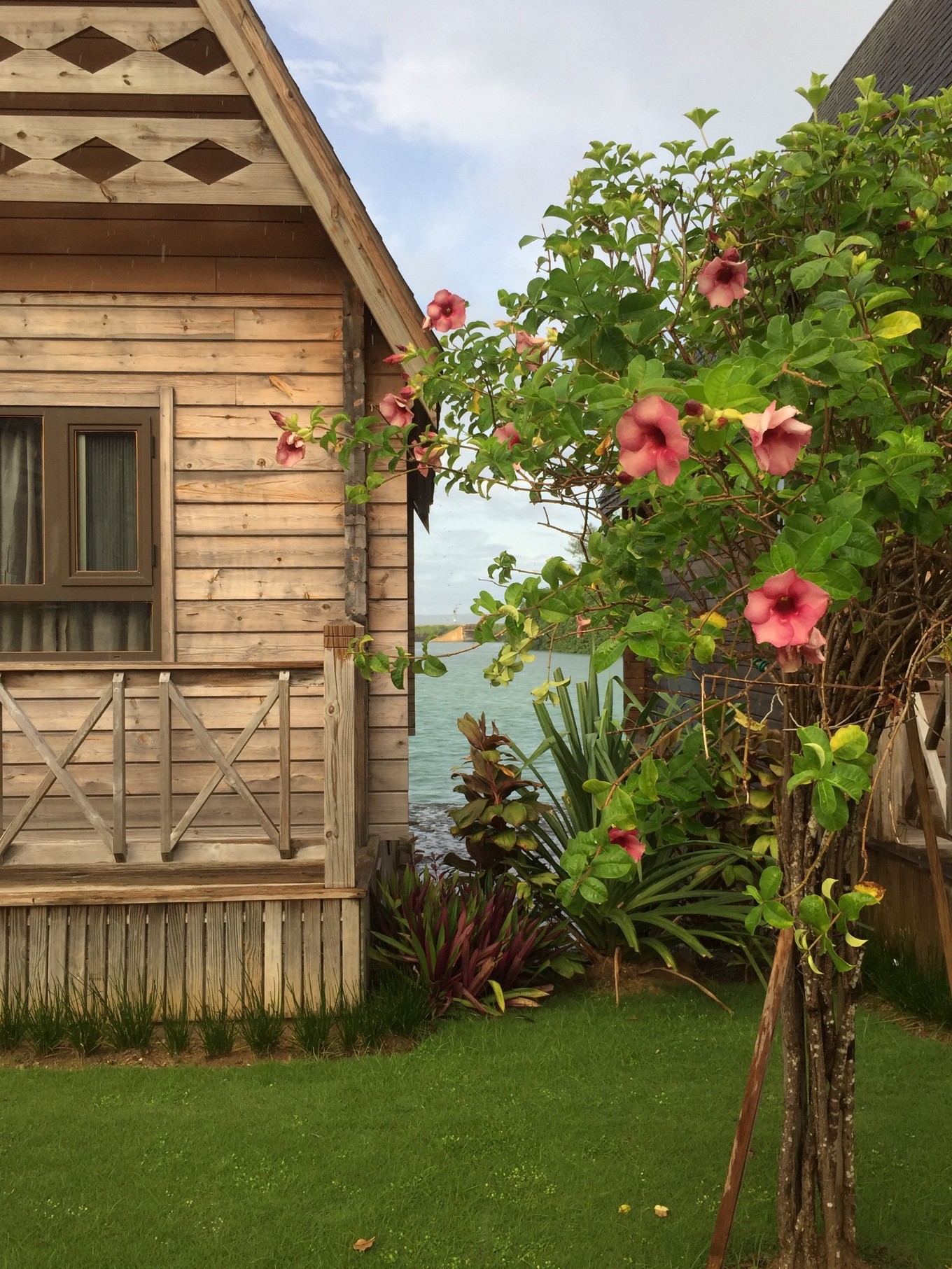 帕劳旅行攻略大全图文,帕劳旅行攻略图文大全