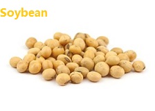 苹果的英文不是apple,苹果的英文发音是apple还是apple