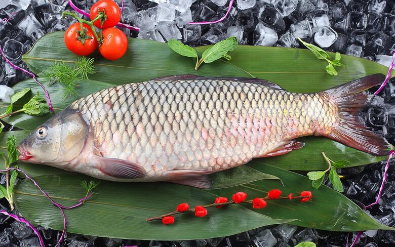 吃鱼讲究鲜,吃鱼有什么讲究的话语