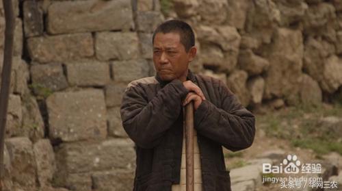 老农民牛大胆免费观看,老农民牛大胆解析