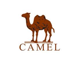 户外专业人士推荐冲锋衣,驴友推荐哪款冲锋衣