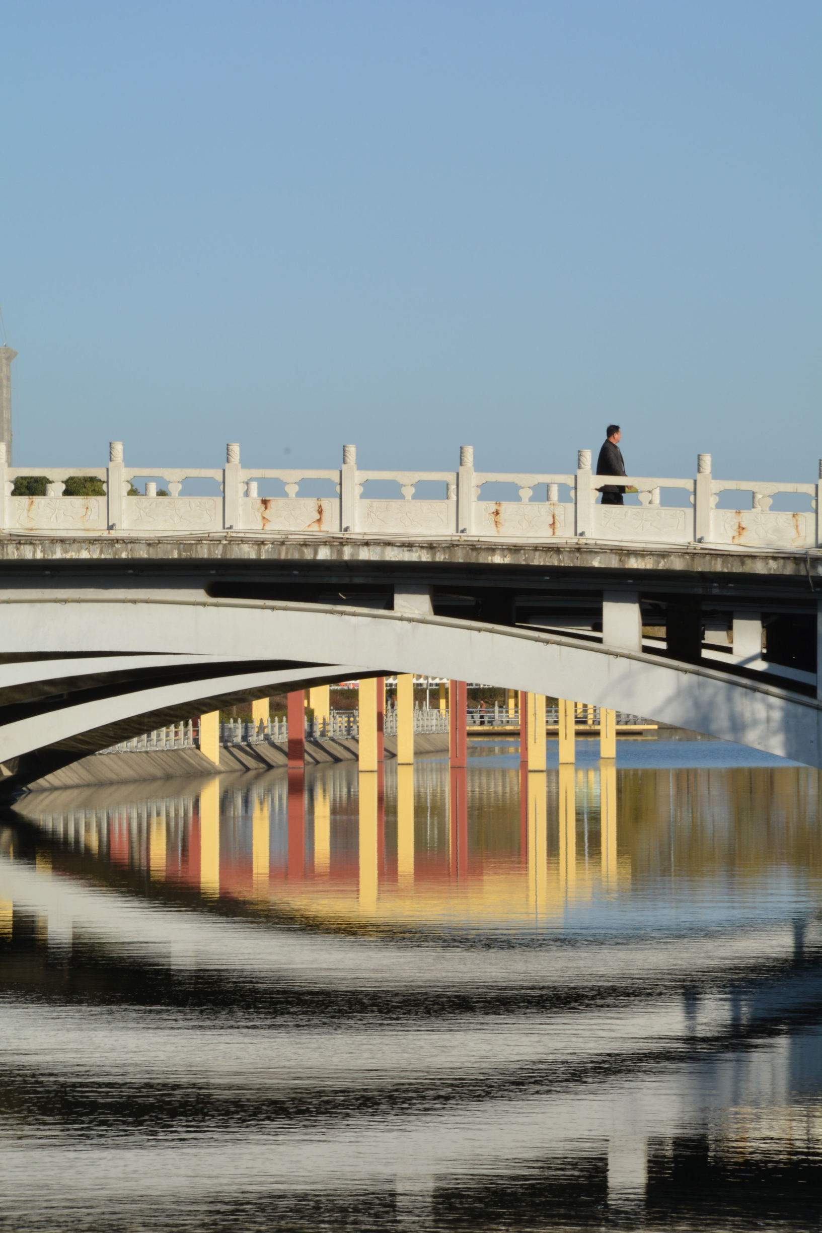 尼康D5200扫街,狗头基本够用