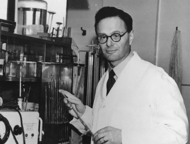 他被纳粹*害迫**,“玩拼图”玩出诺贝尔奖,打脸《Nature》