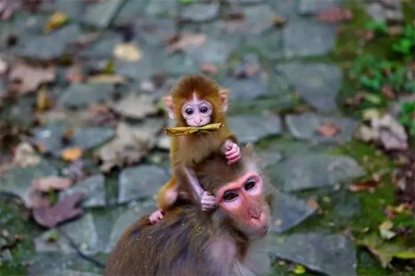 上海到南京高铁最新消息,上海到杭州高铁最新消息