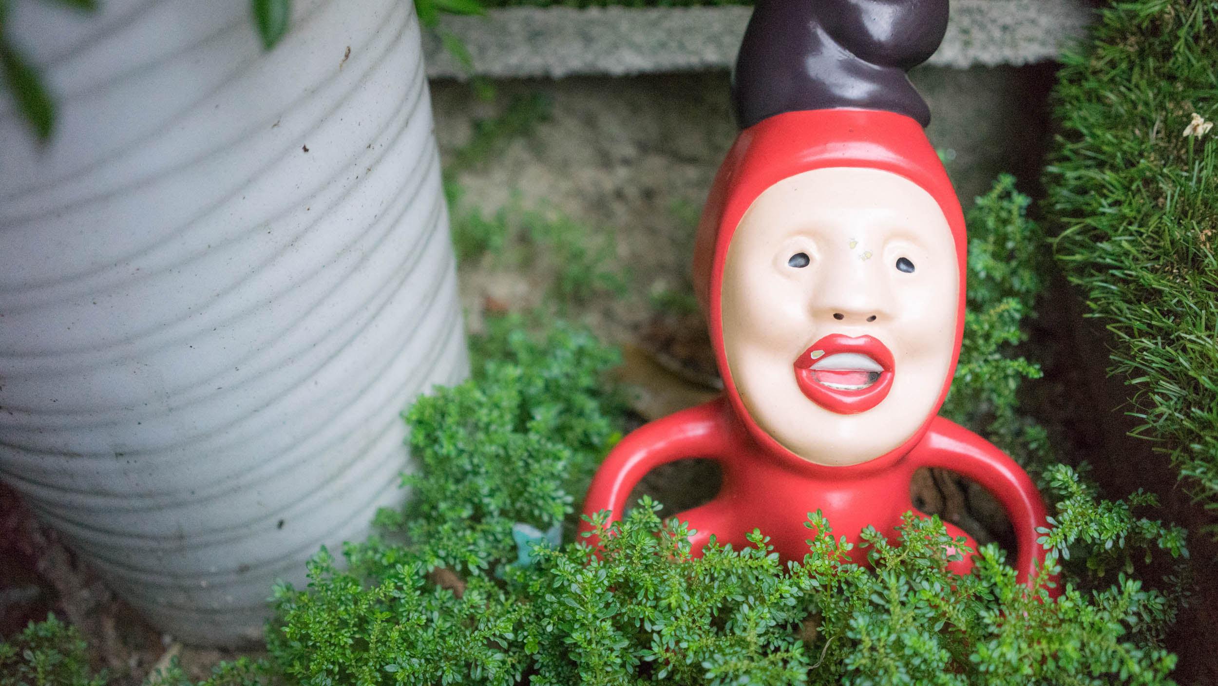 台湾味道纪录片,台湾味