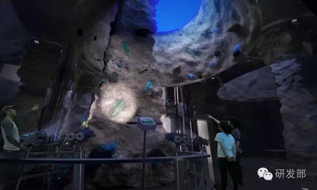 厦门周边有几个4a级旅游景点,厦门免费5a景区有哪些