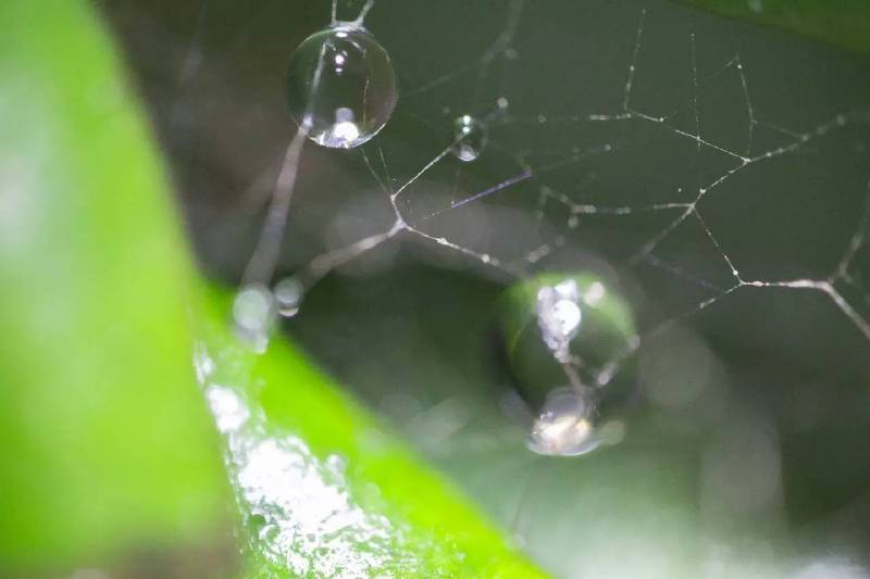 涓竴鍏夊20mmf2.0寰窛闀滃ご娴嬭瘎,鍏ラ瓟鐩告満鎺ㄨ崘