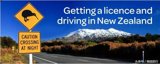 新西兰旅游驾车攻略图大全,新西兰自驾需要什么驾照