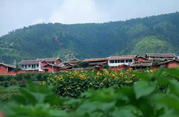 闃冲厜娴翠竴鏃ユ父鏀荤暐,闃冲厜娴翠竴鏃ユ父