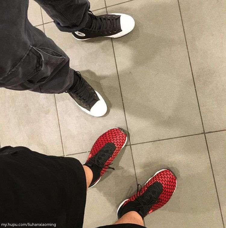 最近收白菜,现在收白菜的视频