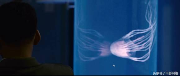 上帝创世用了几天,上帝创世的七天原文