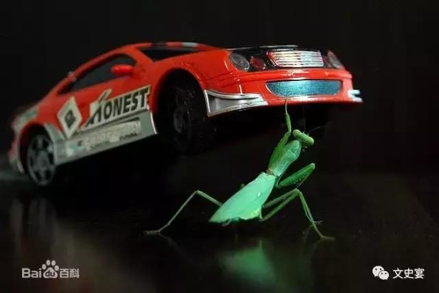 诞生在齐国的成语有多少,齐国成语都有哪些