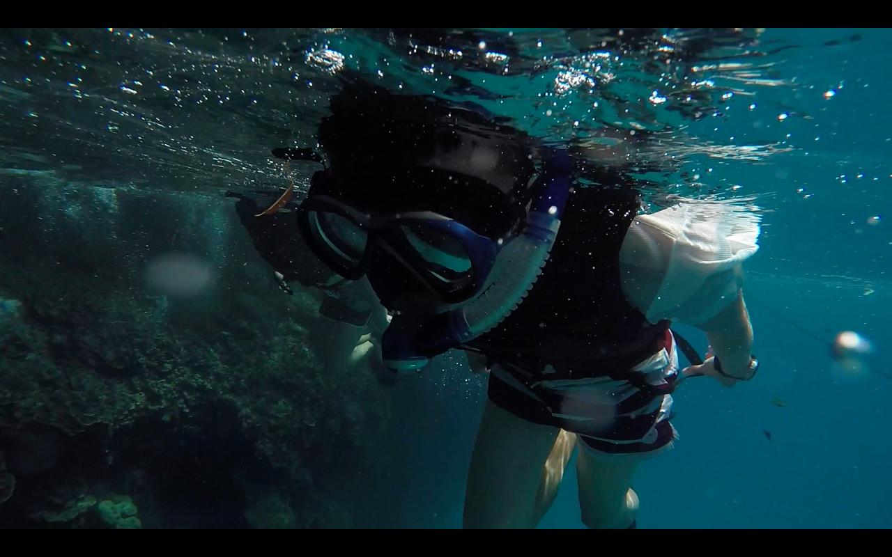 帕劳旅行攻略大全图文,帕劳旅行攻略图文大全