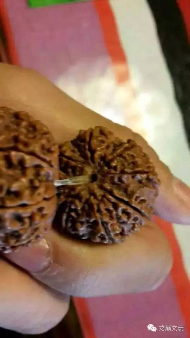 如何辨别金刚落地红,尼泊尔金刚和印尼金刚的区别