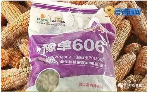 楂樹环鐜夌背绉嶅瓙,闇夊彉鐜夌背鍘傚