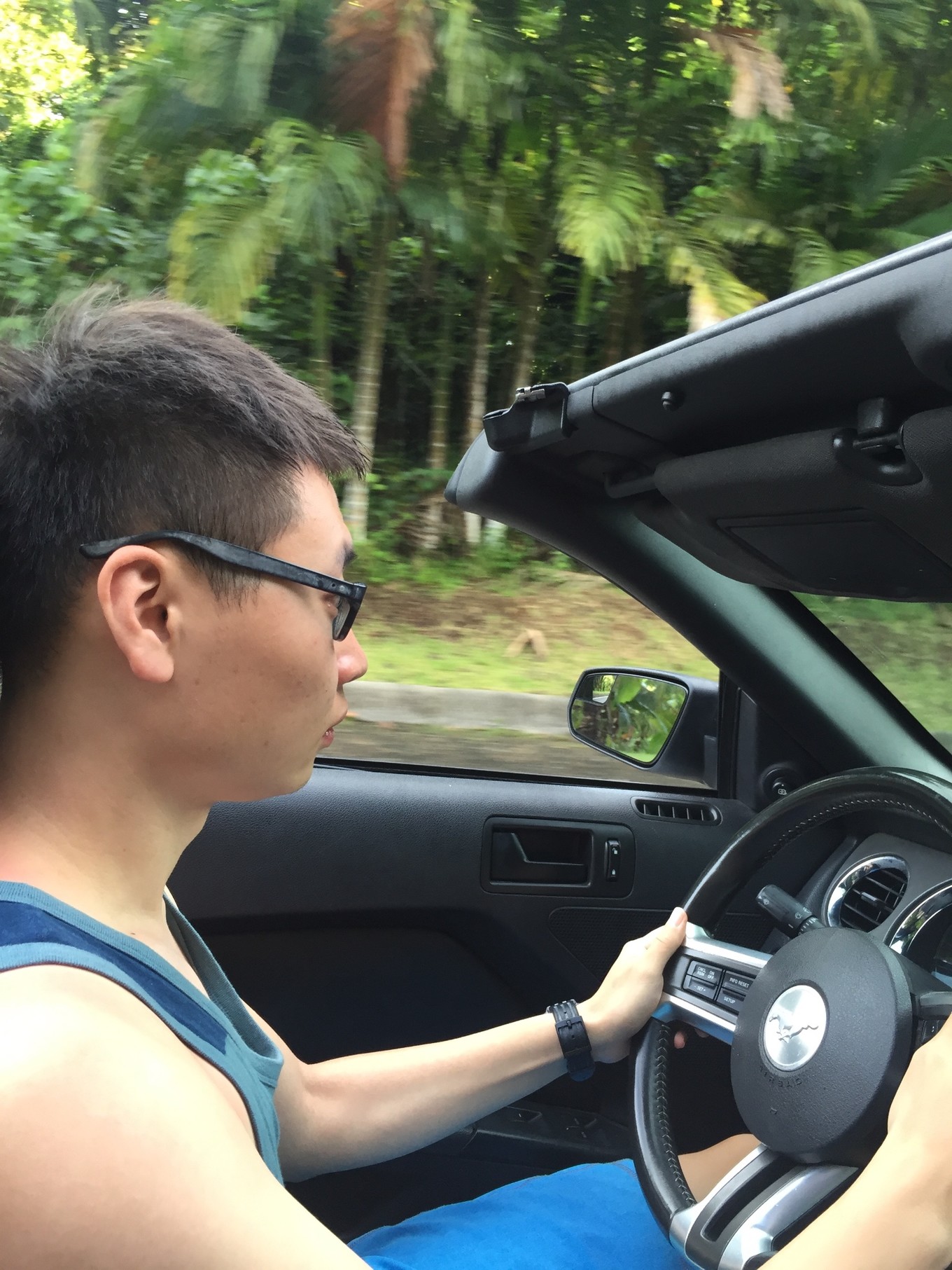 帕劳旅行攻略大全图文,帕劳旅行攻略图文大全