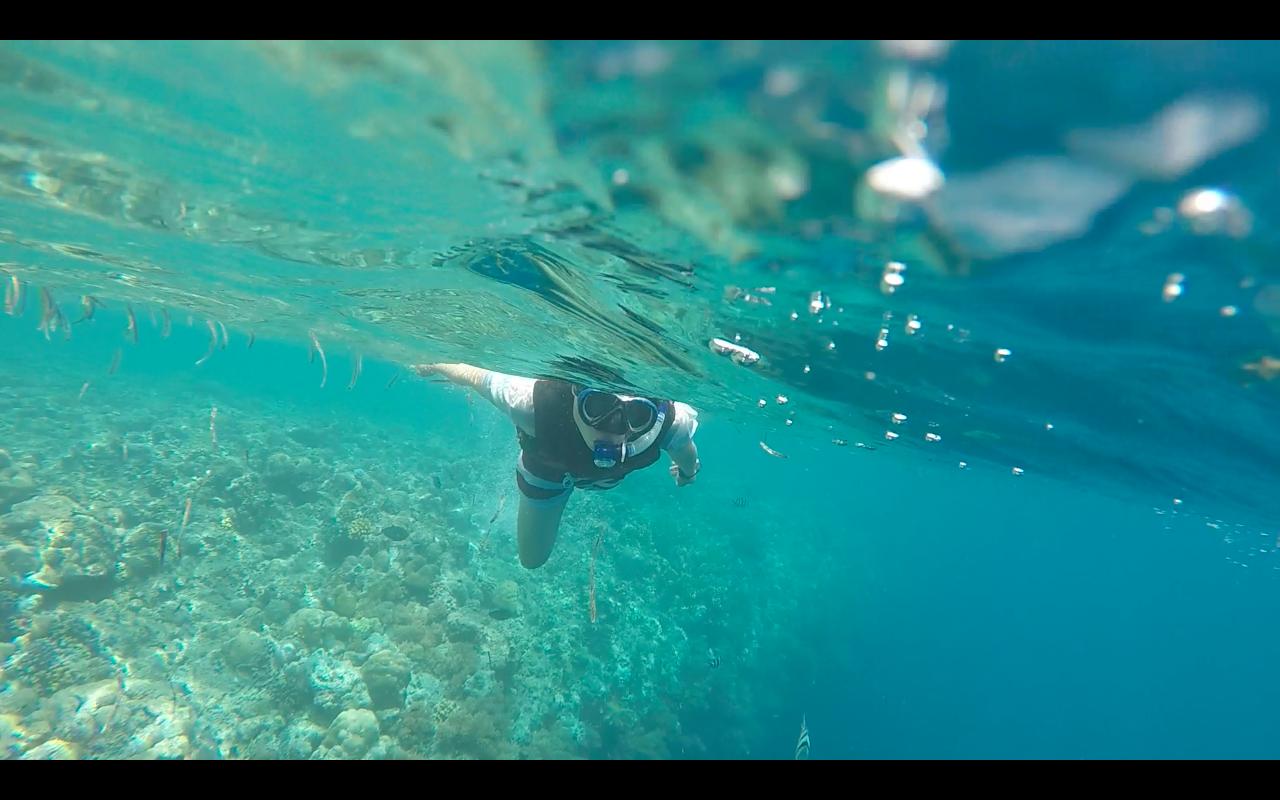 帕劳旅行攻略大全图文,帕劳旅行攻略图文大全