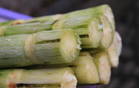 慢性咽炎的最佳止咳方法,治疗咽炎嗓子痒的最快偏方