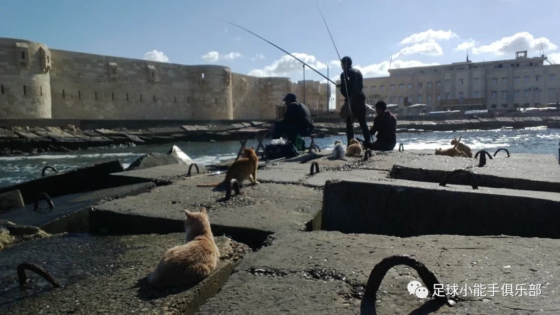 一个深度足彩彩民的2016年度盘点