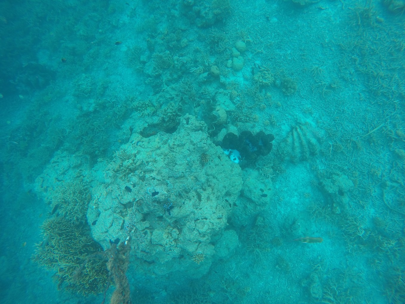 帕劳旅行攻略大全图文,帕劳旅行攻略图文大全