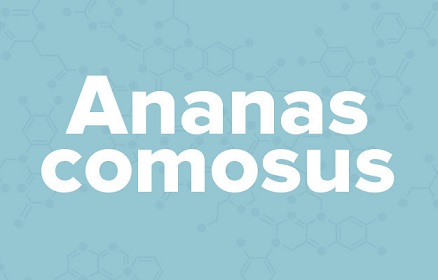 apple苹果的英语是什么,苹果的英语为什么是anapple