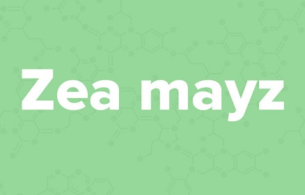 apple苹果的英语是什么,苹果的英语为什么是anapple