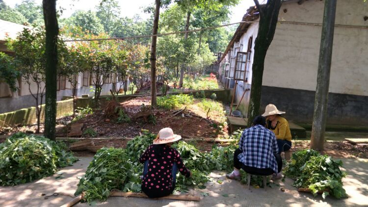 “i牧牧”循自然之道，回归原生态“有机”生活