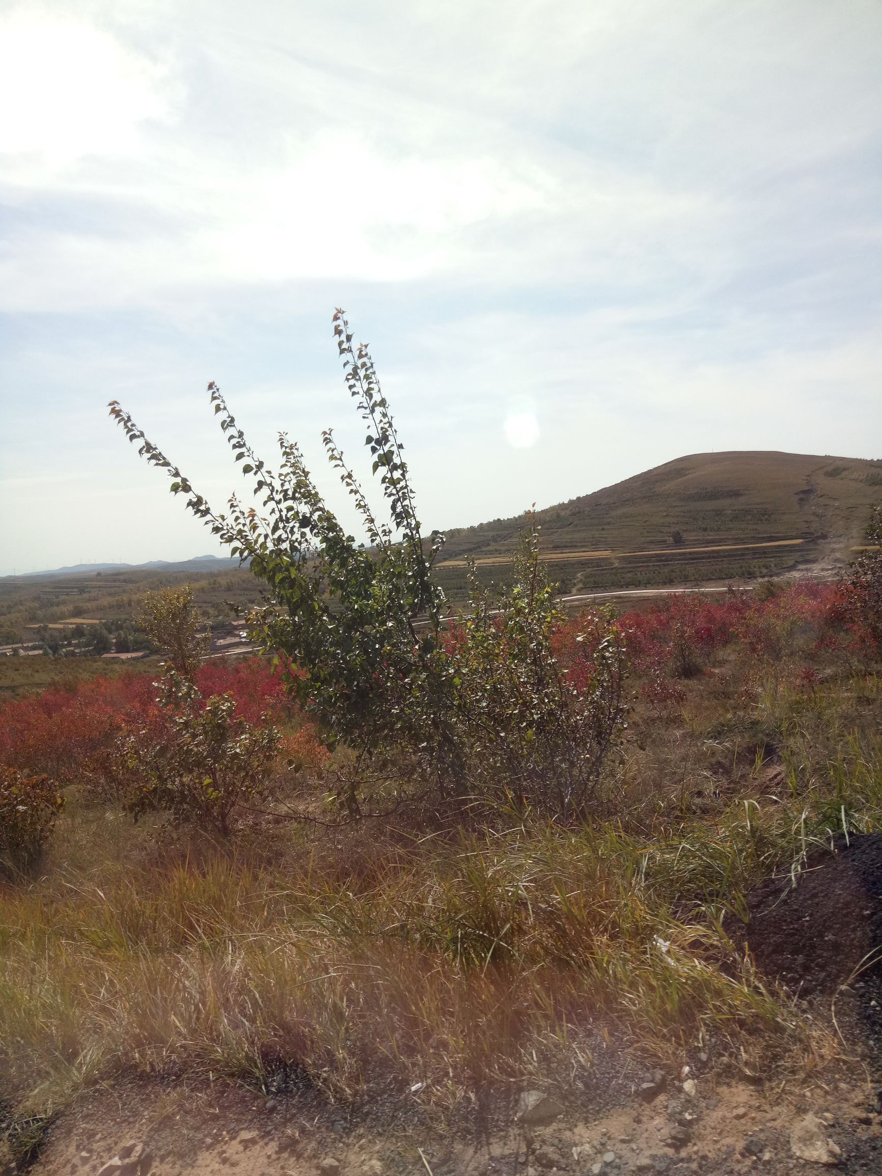 张北天路行,深度还原张北天路