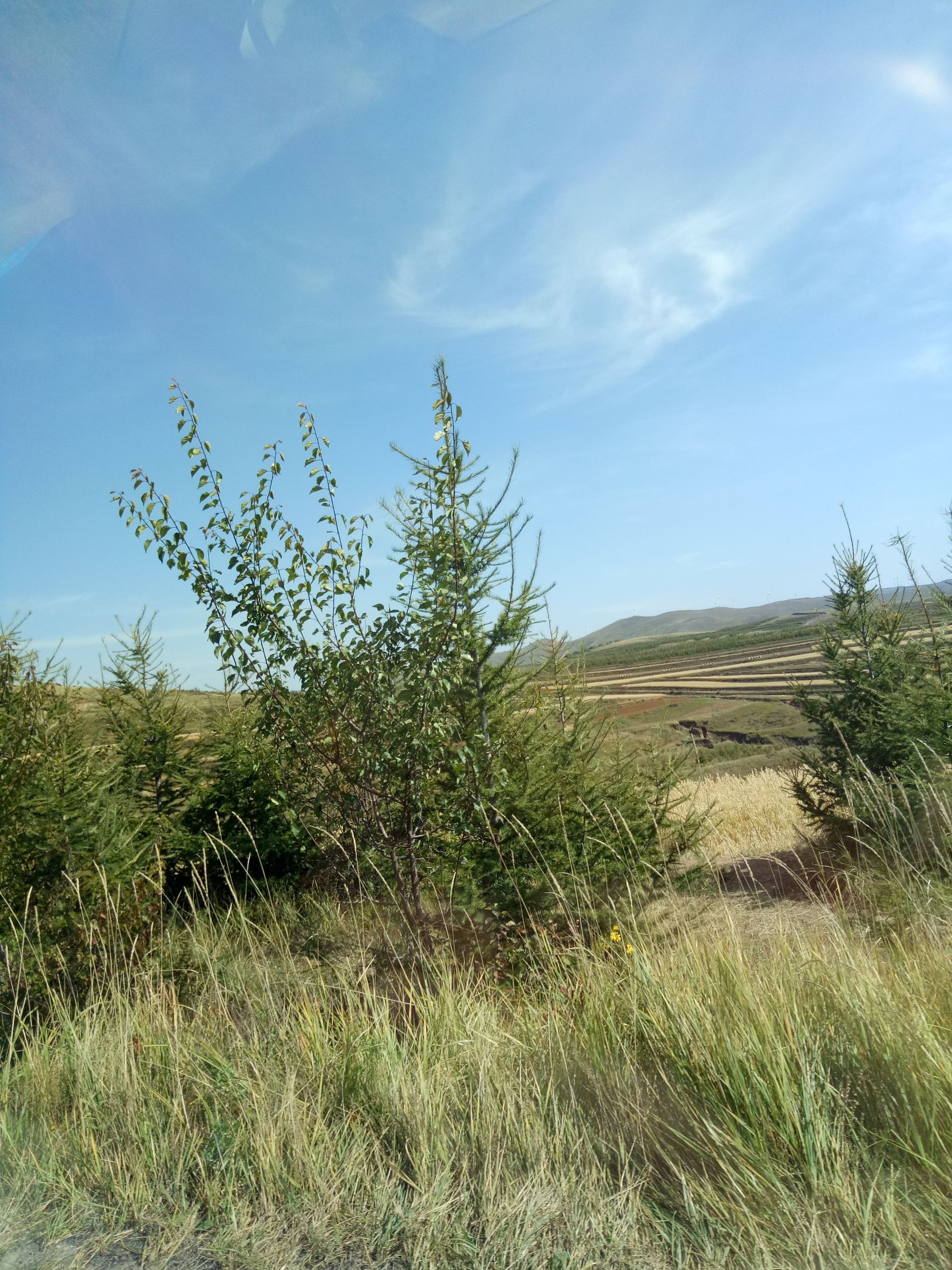 张北的草原天路之旅,张北天路攻略