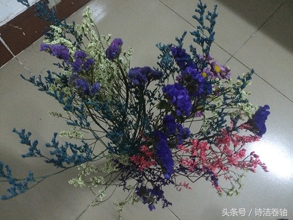 香水百合养了几天感觉又蔫了,香水百合容易养吗