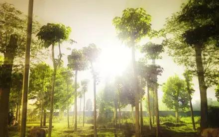 郑州速度！2条新地铁线下月开通，吃喝玩乐去哪儿都不愁