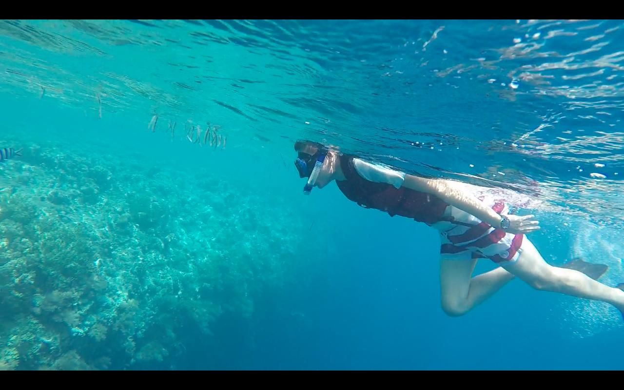 帕劳旅行攻略大全图文,帕劳旅行攻略图文大全