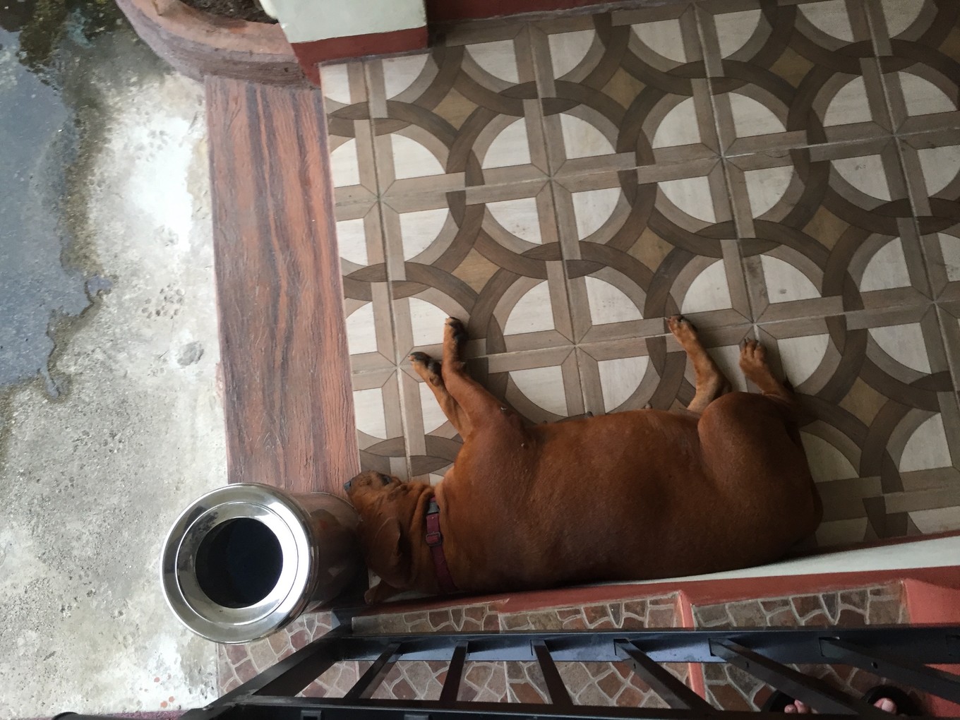 帕劳旅行攻略大全图文,帕劳旅行攻略图文大全