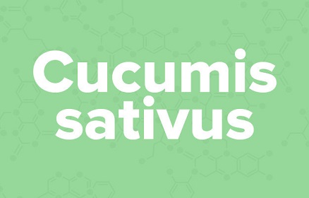 apple苹果的英语是什么,苹果的英语为什么是anapple