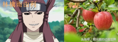 火影忍者忍刀七人众的武器图片,火影忍者忍刀七人众简介