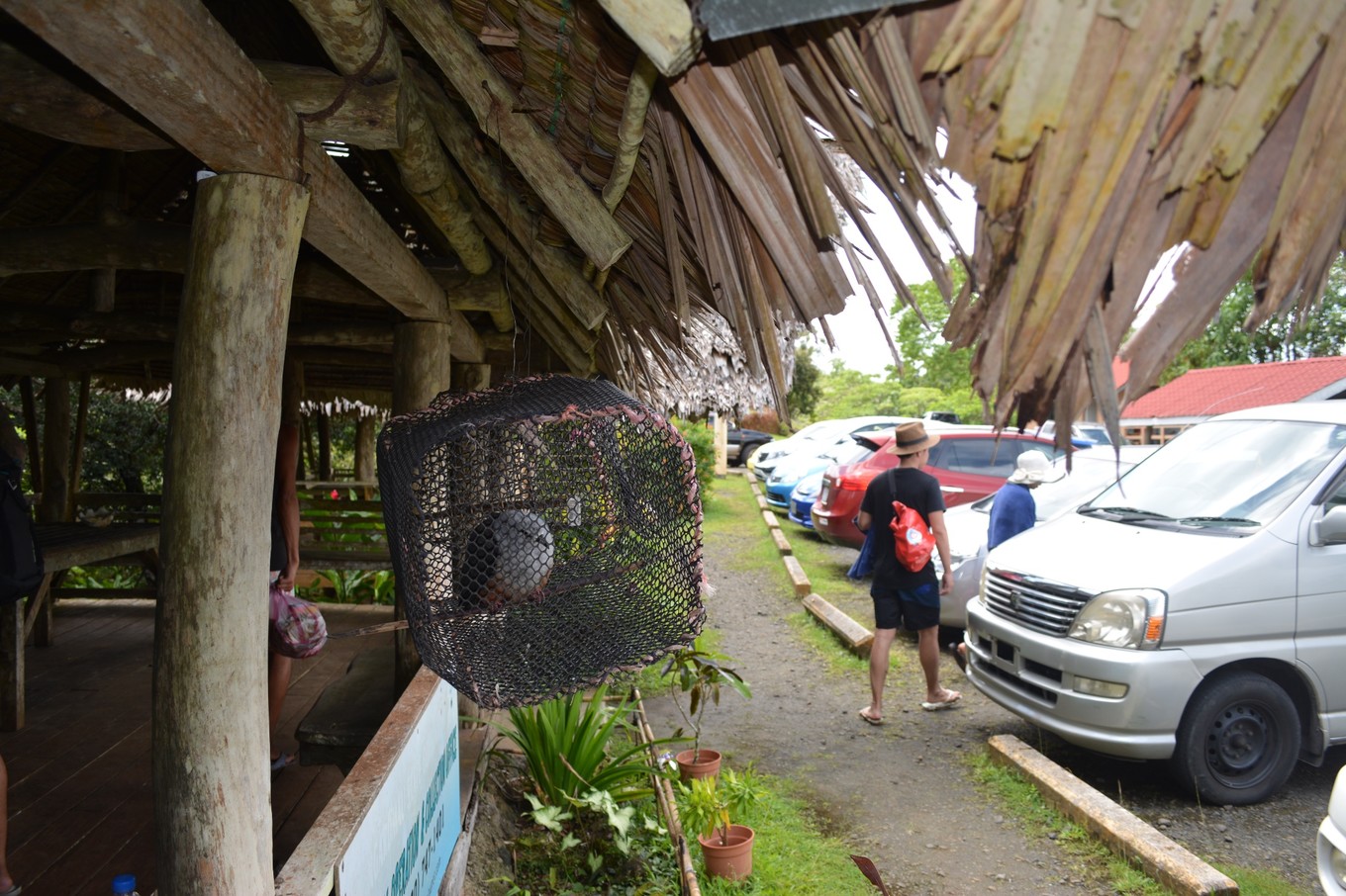 帕劳旅行攻略大全图文,帕劳旅行攻略图文大全