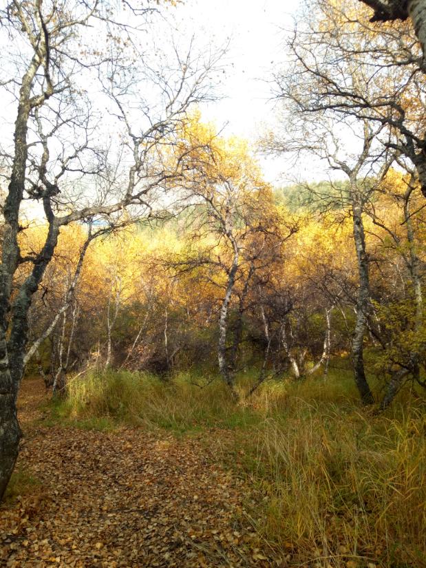 张北天路行,深度还原张北天路