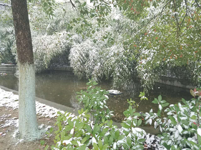 王徽之雪夜访戴逵翻译,王徽之夜访戴逵译文