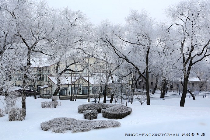 哈尔滨太阳岛的冬天照片,哈尔滨太阳岛的冬天有多美