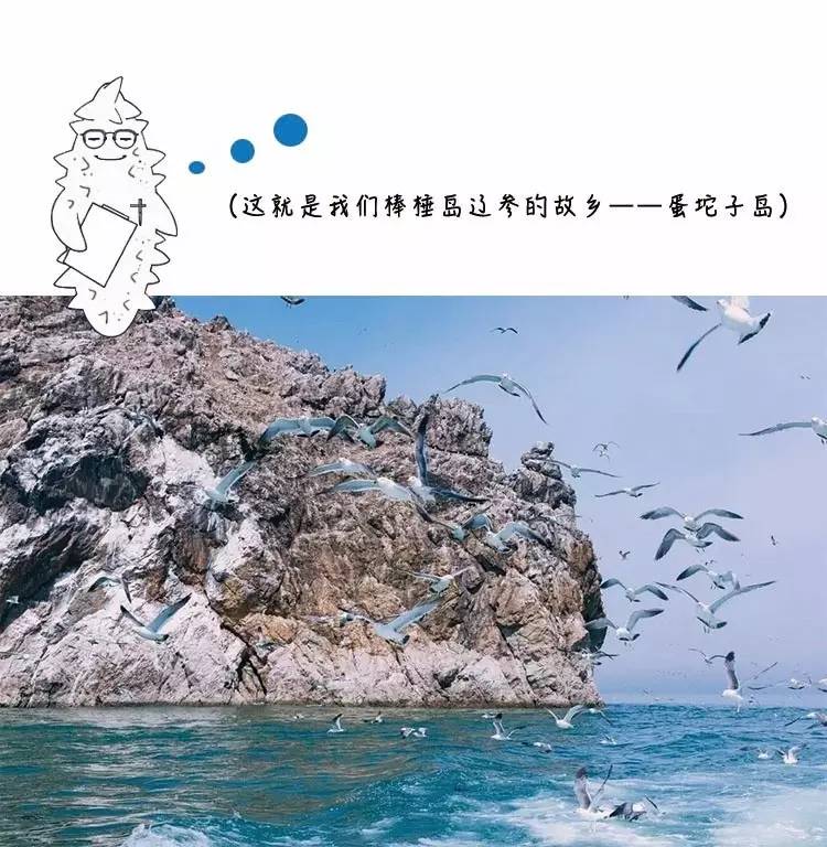 清新的蓝色有着大海的气息,如果蓝色