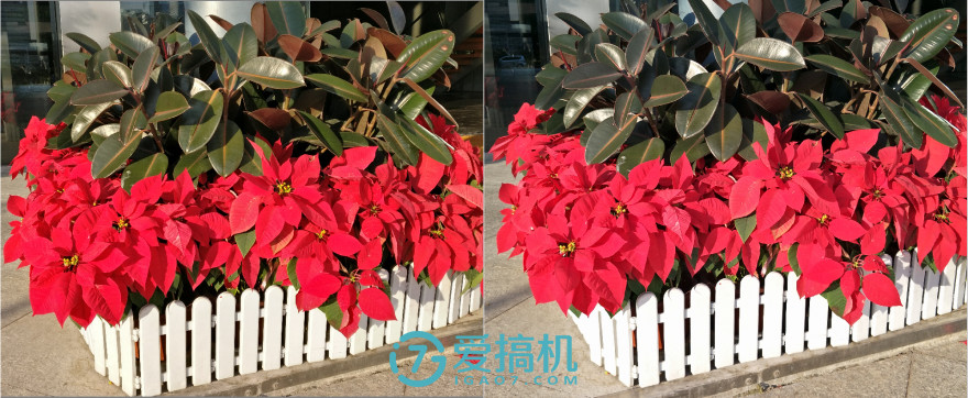 oppor9splus拆机教程,oppor9s和plus哪个好用